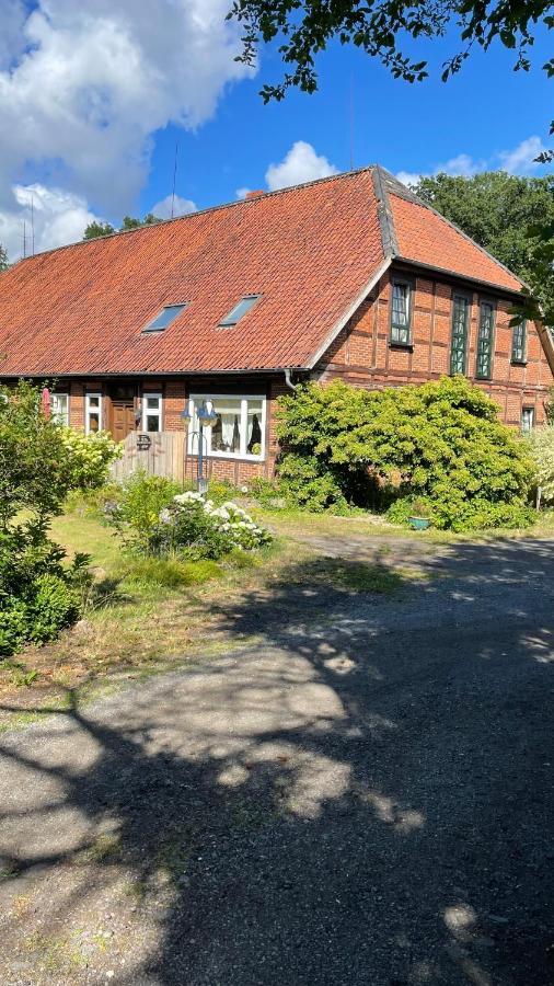 Appartamento Hof Dueshop Bad Fallingbostel Esterno foto